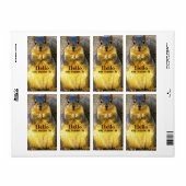 Hallo, mein Name ist_ (Vorne)