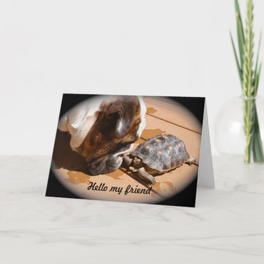 Hallo meine Freundschaftskarte Karte (Vorderseite)