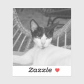 Hallo, Meow.. Aufkleber (Blatt)