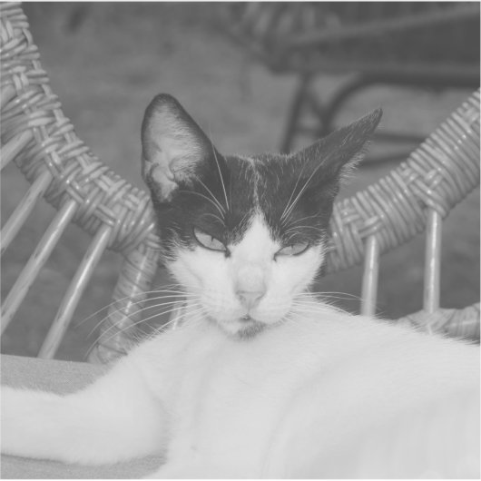 Hallo, Meow.. Aufkleber (Vorderseite)