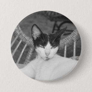 Hallo, Meow.. Button