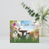 Hallo Meow / Katzen im Garden-Süße Tier Postkarte (Stehend Vorderseite)