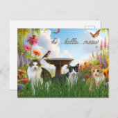 Hallo Meow / Katzen im Garden-Süße Tier Postkarte (Vorne/Hinten)