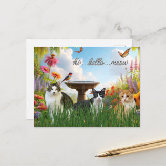 Hallo Meow / Katzen im Garden-Süße Tier Postkarte