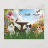 Hallo Meow / Katzen im Garden-Süße Tier Postkarte (Vorderseite)