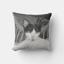 Hallo, Meow.. Kissen