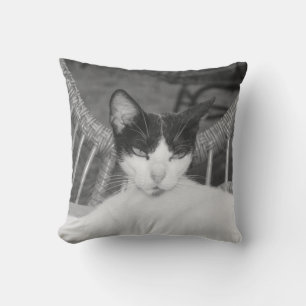 Hallo, Meow... Kissen