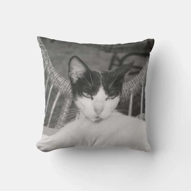 Hallo, Meow.. Kissen (Vorderseite)