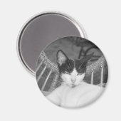 Hallo, Meow.. Magnet (Vorderseite/Rückseite)