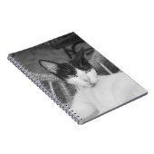 Hallo, Meow.. Notizblock (Rechte Seite)