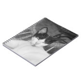 Hallo, Meow.. Notizblock (Linke Seite)