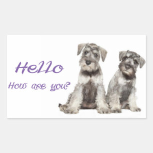 Hallo Miniature Schnauzer Welpenhund-Ticker-Etiket Rechteckiger Aufkleber