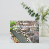Hallo Mirror, der Niedliche Funny Raccoon Postkarte (Stehend Vorderseite)