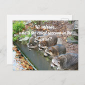 Hallo Mirror, der Niedliche Funny Raccoon Postkarte (Vorne/Hinten)