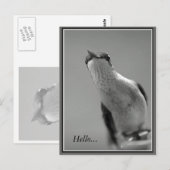 Hallo...mit Text Postkarte (Vorne/Hinten)