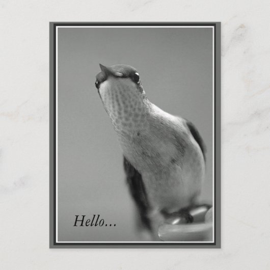 Hallo...mit Text Postkarte (Vorderseite)