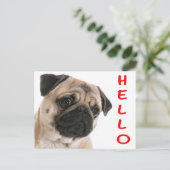 Hallo Mops Welpe Hund Gruß Postkarte (Stehend Vorderseite)