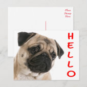 Hallo Mops Welpe Hund Gruß Postkarte (Vorne/Hinten)