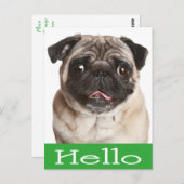 Hallo Mops Welpe Hund Gruß Postkarte (Vorne/Hinten)