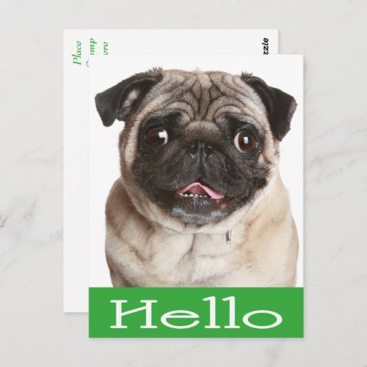Hallo Mops Welpe Hund Gruß Postkarte (Vorne/Hinten)