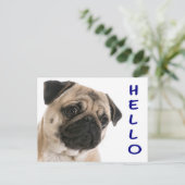 Hallo Mops Welpe Hund Gruß Postkarte (Stehend Vorderseite)