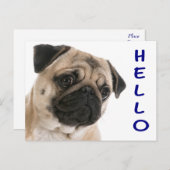 Hallo Mops Welpe Hund Gruß Postkarte (Vorne/Hinten)