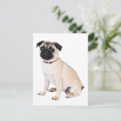 Hallo Mops Welpe Hund Gruß Postkarte (Stehend Vorderseite)