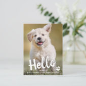 Hallo neue Haustier Dog Welpe Dusche Einladung (Stehend Vorderseite)