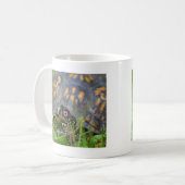 Hallo! Neugierige Schildkröte Kaffeetasse (Vorderseite Links)