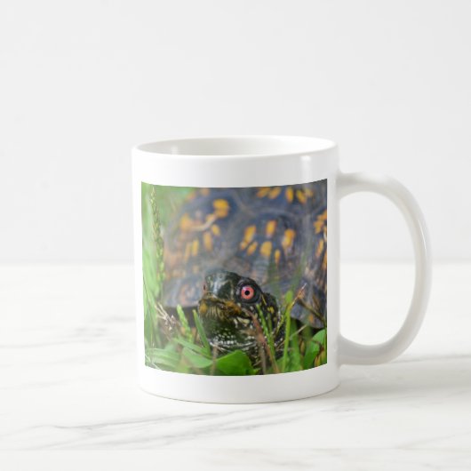 Hallo! Neugierige Schildkröte Kaffeetasse (Rechts)