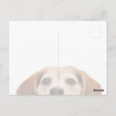 Hallo Niedlich Funny Beagle Dog Moderner Trendy Le Postkarte (Rückseite)