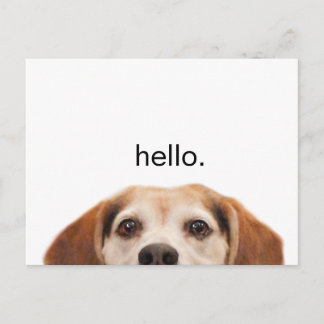 Hallo Niedlich Funny Beagle Dog Moderner Trendy Le Postkarte