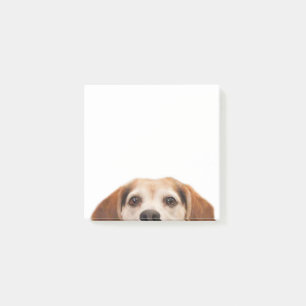 Hallo Niedlich Funny Beagle Dog Modernes Trendy Post-it Klebezettel