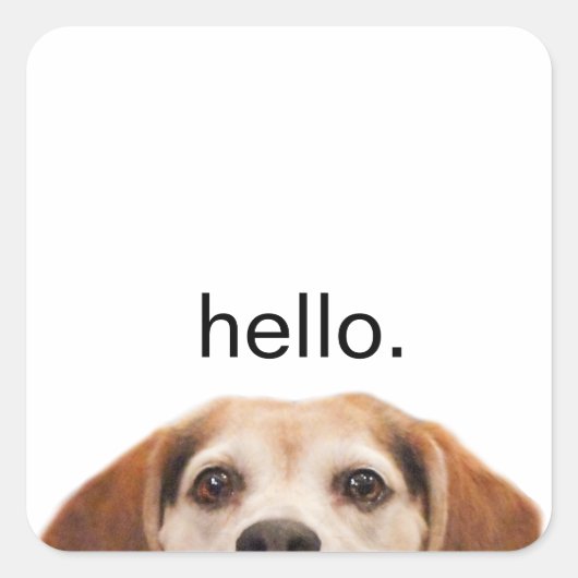 Hallo Niedlich Funny Beagle Dog Modernes Trendy Quadratischer Aufkleber (Vorderseite)