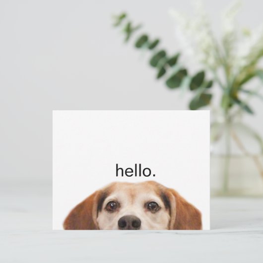 Hallo Niedlich Funny Beagle Dog Nose Postkarte (Stehend Vorderseite)