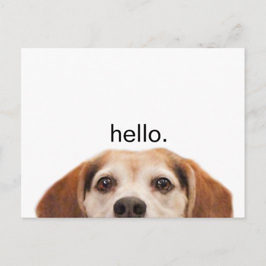 Hallo Niedlich Funny Beagle Dog Nose Postkarte (Vorderseite)