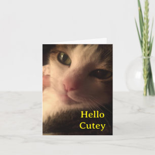 Hallo niedlich karte