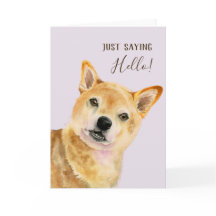 Hallo  | Niedlich Shiba Inu Dog