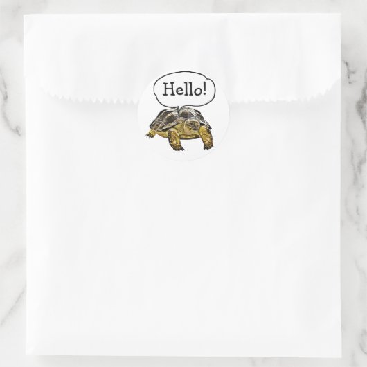 Hallo Niedlich Turtle Stickers (Tasche)