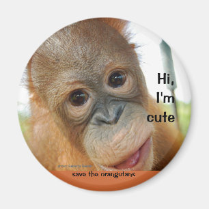 Hallo niedlicher Baby-Orang-Utan Magnet