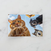 Hallo! Okay? Spaß, nur auf Sie zu prüfen Karte (Innenseite)