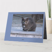 Hallo Paper Note Card Karte (Rückseite)