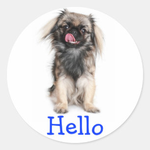 Hallo Pekingeser Welpenhund Grüß Aufkleber