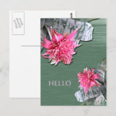 Hallo Pink Flower Bromeliad Postkarte (Vorne/Hinten)
