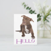 Hallo Pit Bull Welpe Hund Leere Postkarte (Stehend Vorderseite)
