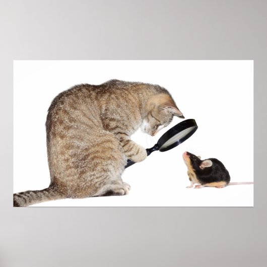 Hallo! Poster (Vorne)