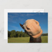 Hallo! Postkarte (Vorne/Hinten)