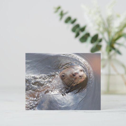 Hallo! Postkarte (Stehend Vorderseite)