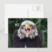 hallo postkarte (Vorne/Hinten)