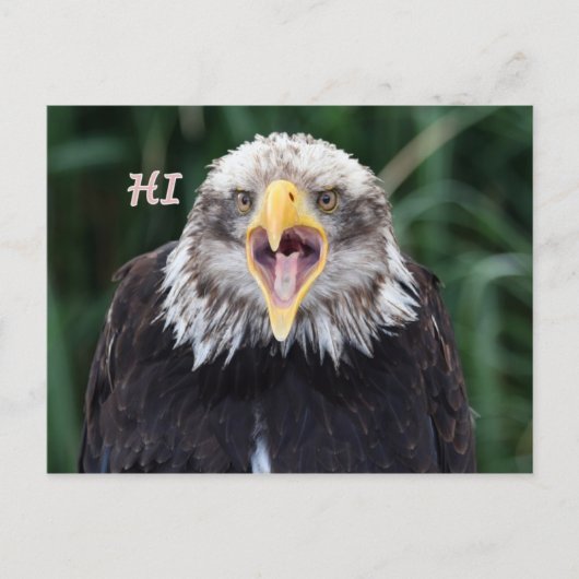 hallo postkarte (Vorderseite)